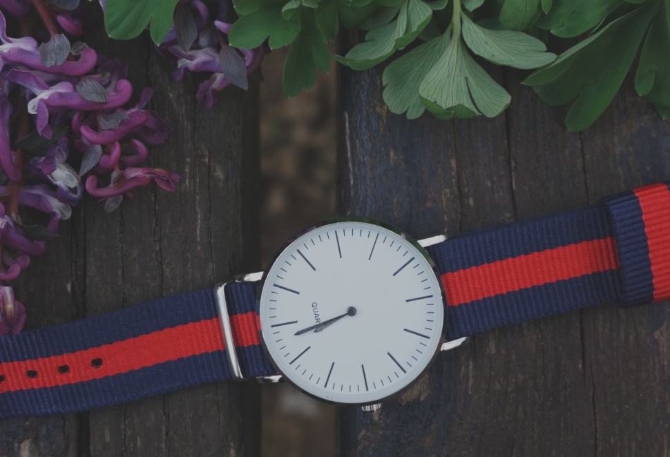 round ble and red strapped watch on brown wooden table with plants beside it preview